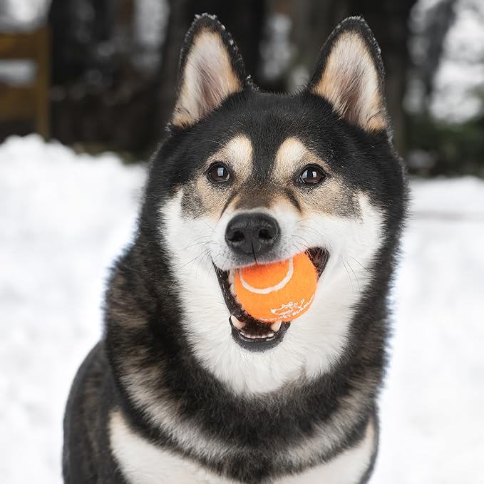 Best Pet Supplies Interactive Squeaky Dog Chew Toy, Ideal Dog Toys - Image 7