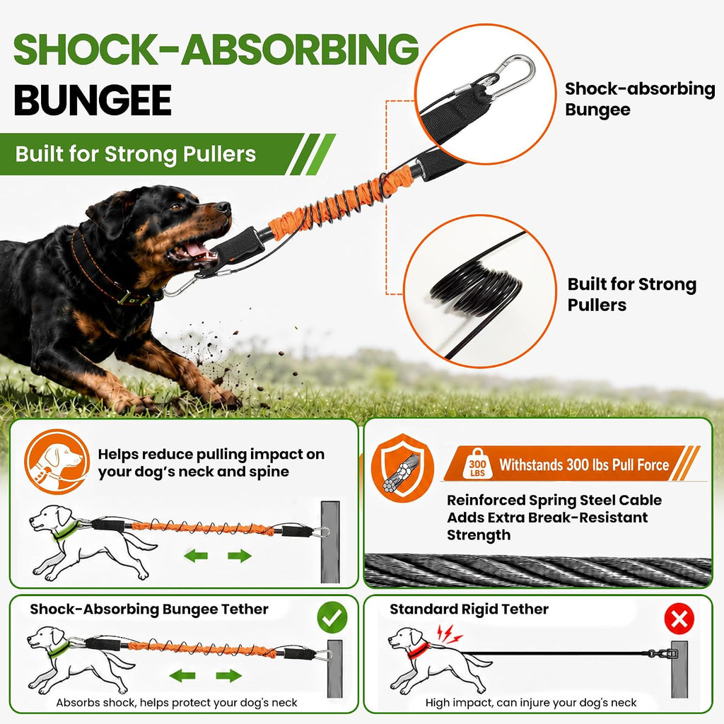 Glow Dog Tie Out Cable and Stake & Shock-Absorbing Bungee Tether