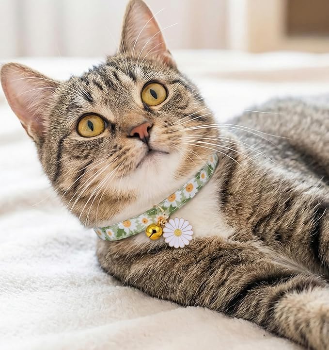 2 Pack Cat Collar Breakaway, Daisy Collar - Image 6