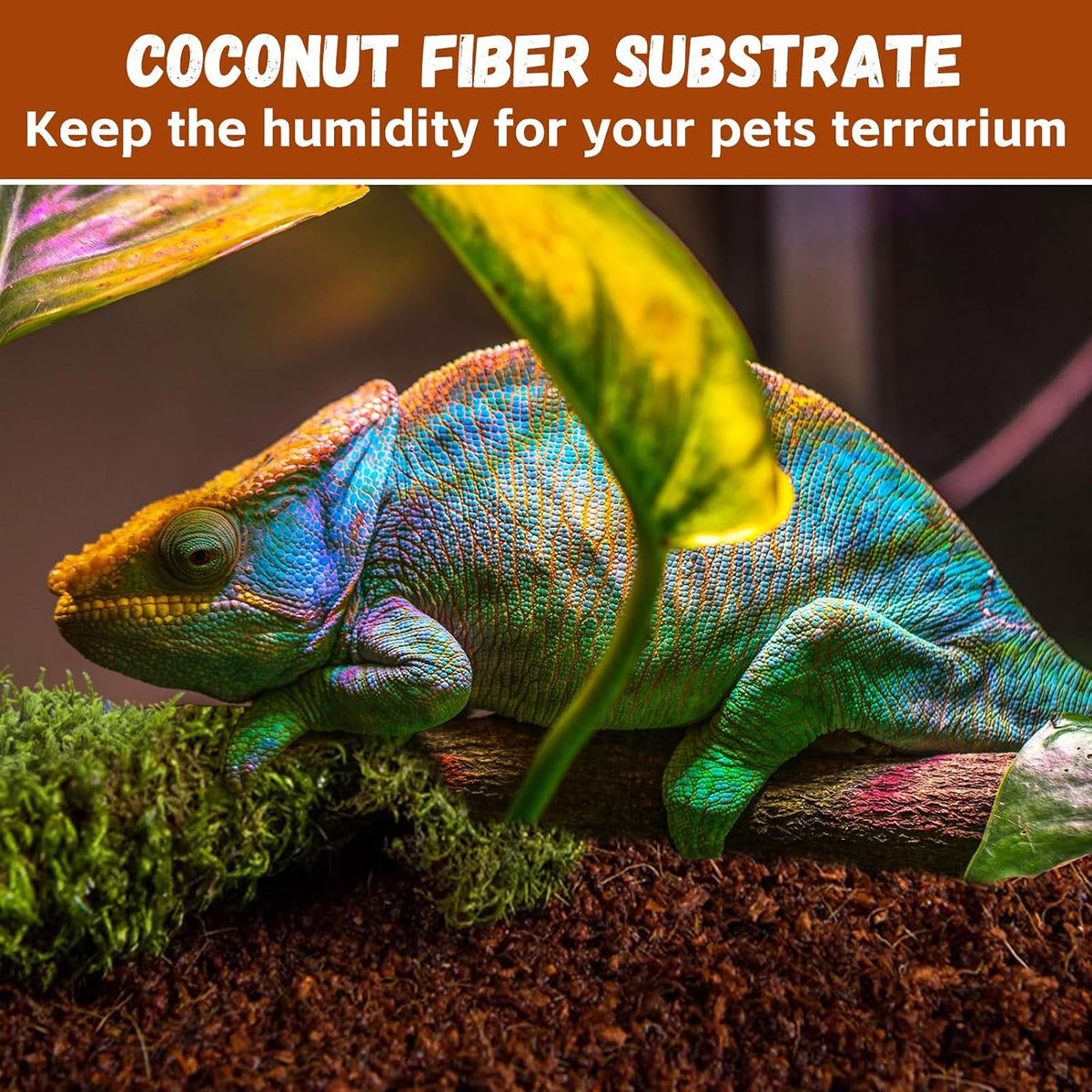 Legigo 6 Pack Coconut Fiber Substrate, Natural Coco Coir Reptile Bedding