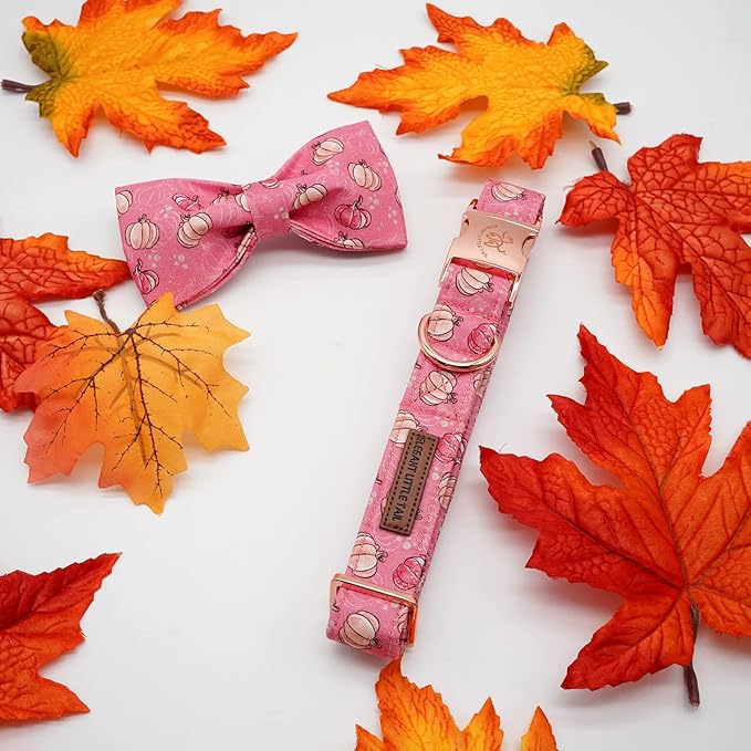 Elegant Little Tail Dog Collar - Image 4