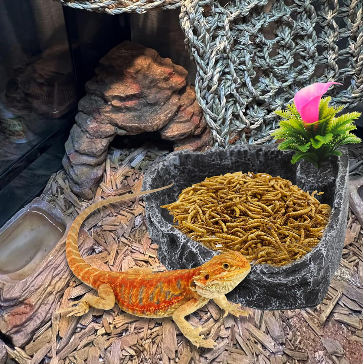 Reptile Water Dish Food Bowl,Corner Rock Terrarium Feeding Bowl Hermit Crab Water,Reptile Feeder Food and Water Dish,Tortoise, Lizard, Gecko, Chameleon, Bearded Dragon