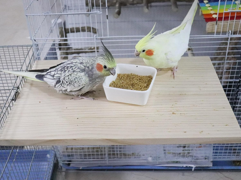Large Bird Perch, Wooden Platform, Bird Playground, Parakeet Shelf Stand Platform, Bird Perches for Cage, Cage Accessories for Parrots, Rats, Chinchillas, Hamsters, Squirrels, Sugar Gliders
