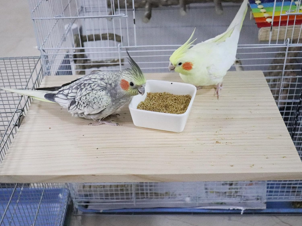 Large Bird Perch, Wooden Platform, Bird Playground, Parakeet Shelf Stand Platform, Bird Perches for Cage, Cage Accessories for Parrots, Rats, Chinchillas, Hamsters, Squirrels, Sugar Gliders