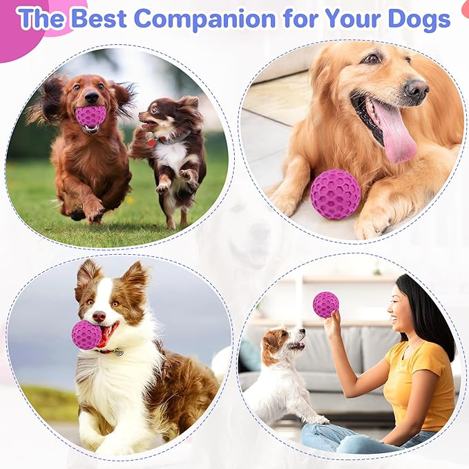Interactive Squeaky Dog Balls, Dog Toys - Image 6