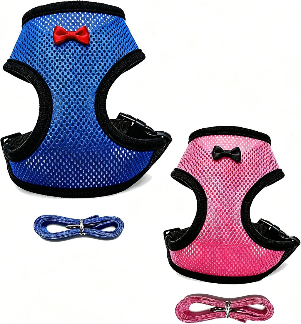 Neivique Chicken Harness and Leash Set, 2 Complete Sets (Blue L + Pink M), Adjustable Breathable Mesh Harness for Chickens, Ducks, Hens & Small Poultry, Escape-Proof Outdoor Walking Training