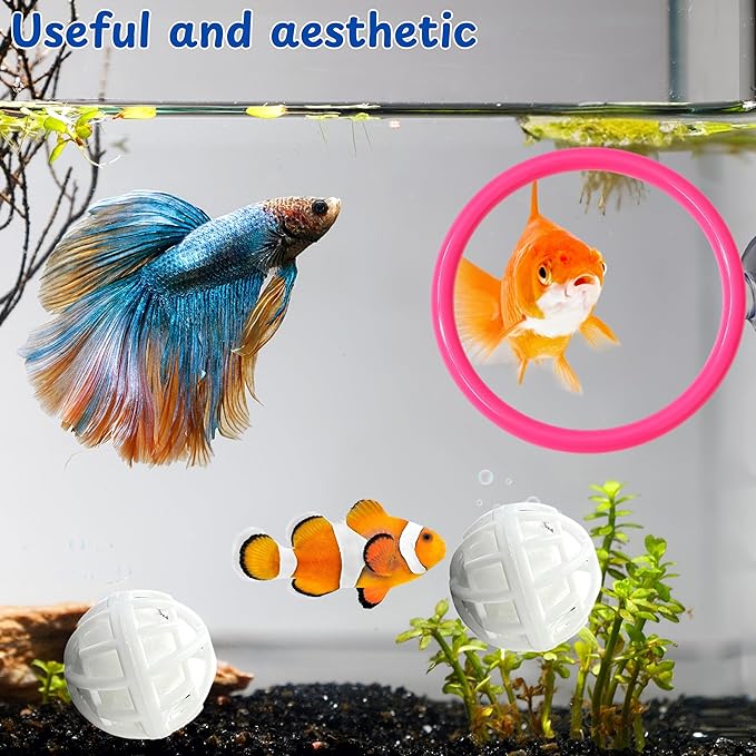 Betta Ring Enrichment Toys - Image 3