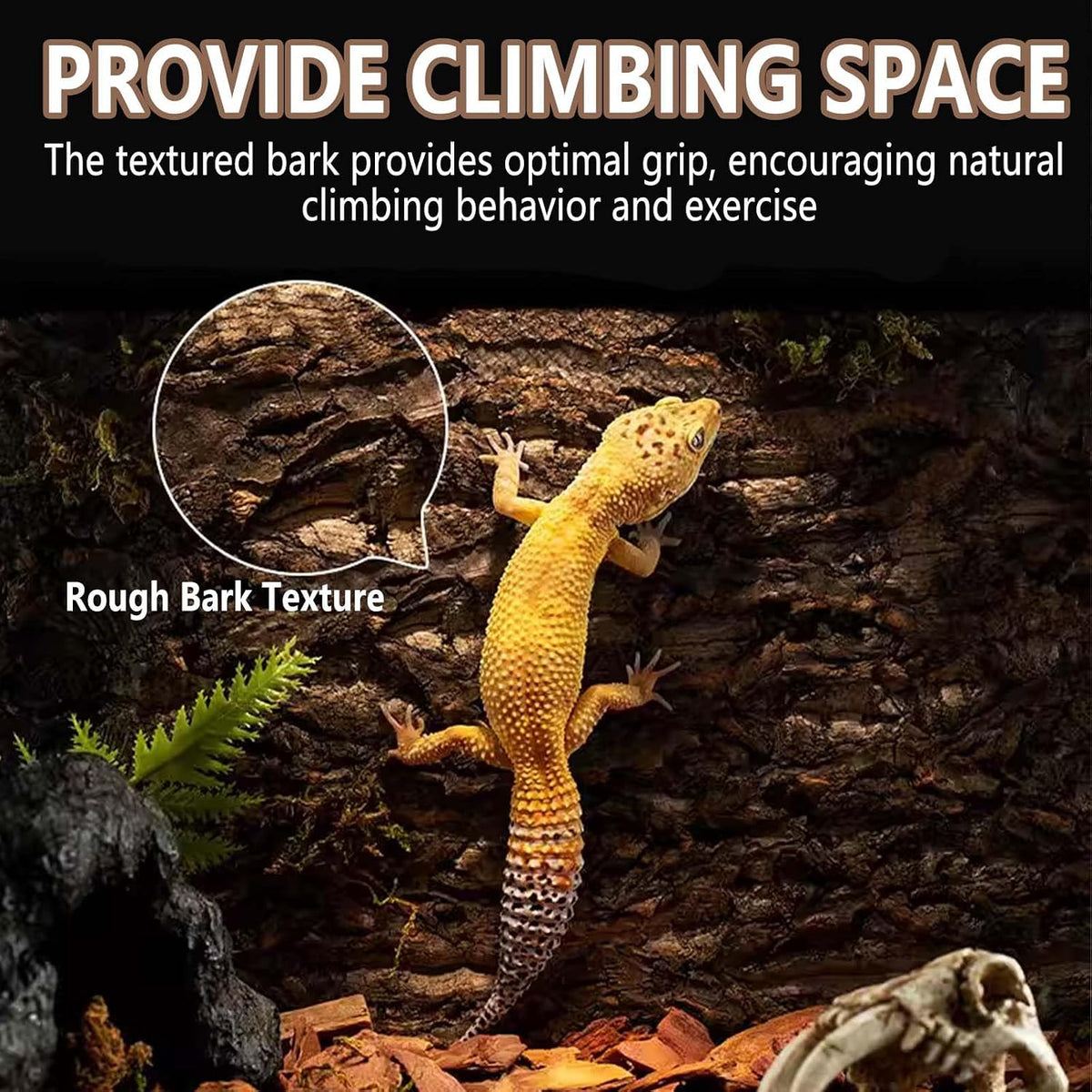 2PCS 11.8"x11.8" Natural Thickened Reptile Cork Bark Terrarium Background
