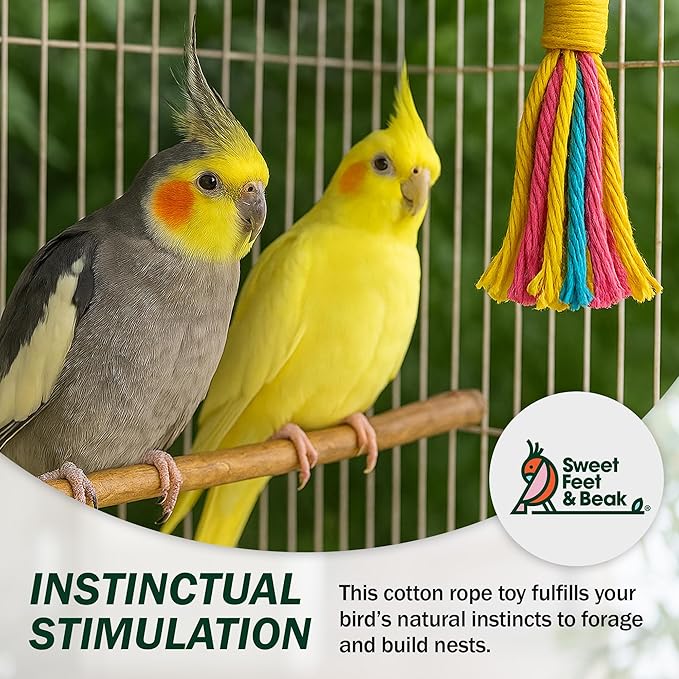 Sweet Feet and Beak Platinum Tweeter Weave Bird Toys - Image 6