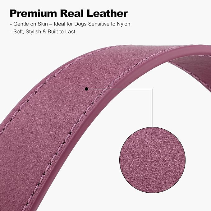 Plutus Pet Genuine Leather Dog Collar – Adjustable Pet Collar - Image 4
