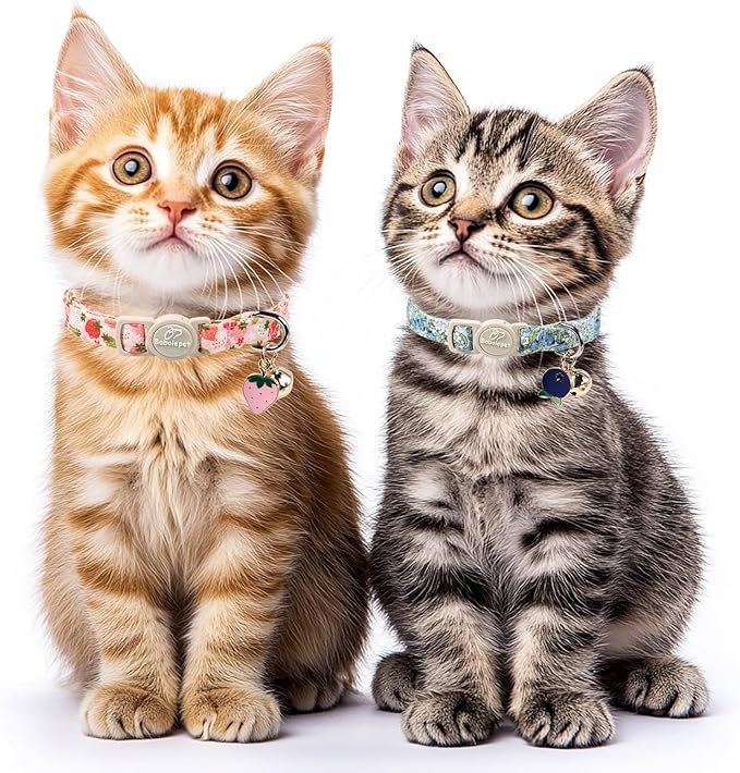 2 Pack Spring Summer Cat Collars - Image 2