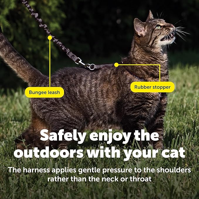 PetSafe Come With Me Kitty Cat Harness & Bungee Leash - Image 6