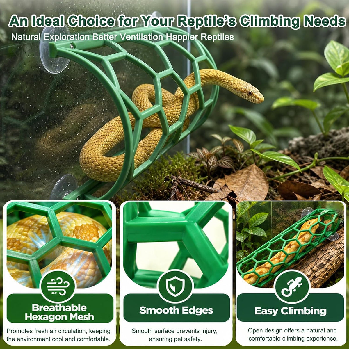 2 Pack Reptile Honeycomb Climbing Shelf, Green & Black