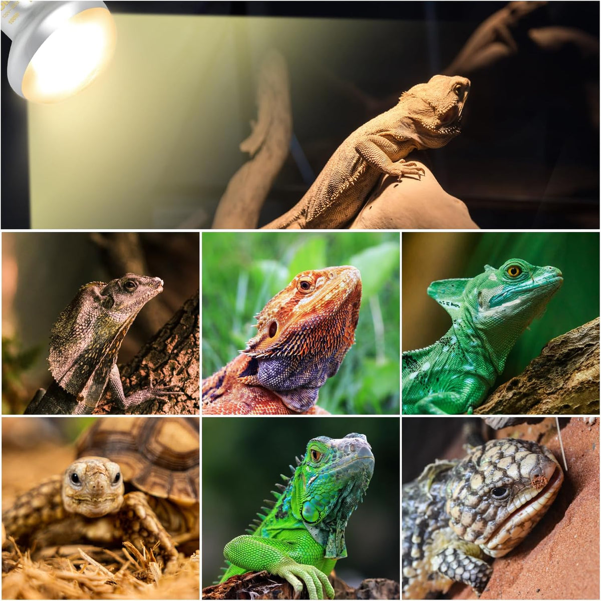Reptile Heat Lamp Blub Combo Pack, Dual, Dual Reptile Lamp Fixture with Intense Basking Spot Light UVA Daylight Reptile Heat Lamp & 26W Energy Saving UVA 10.0 UVB Bulb Spiral Compact Bulb