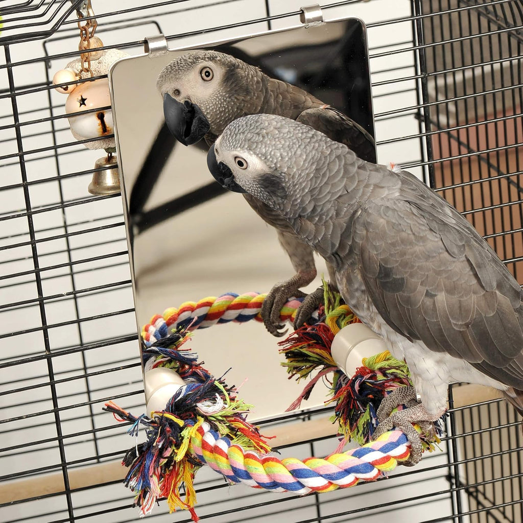 9" Bird Mirror for Cage, Large