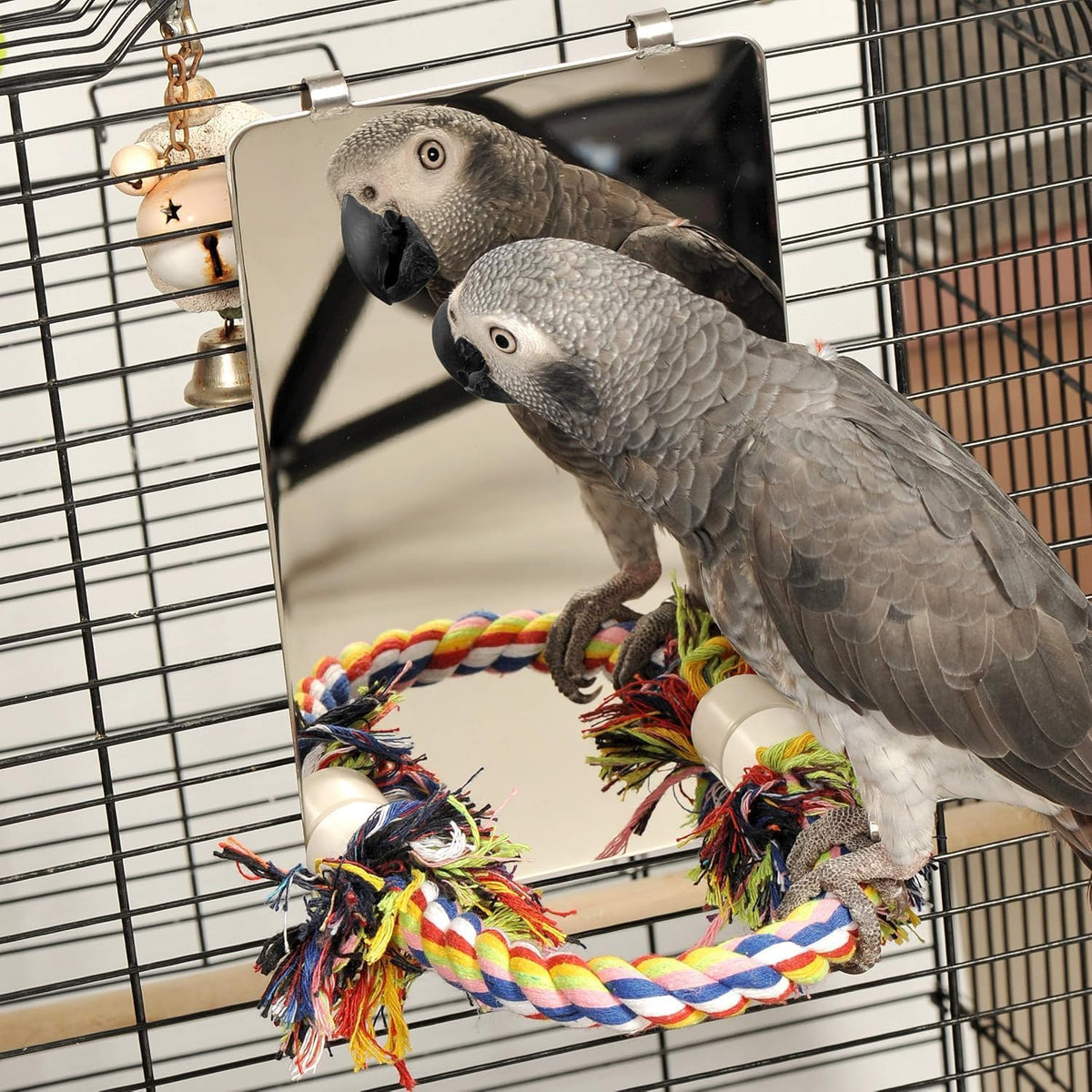 9" Bird Mirror for Cage, Large