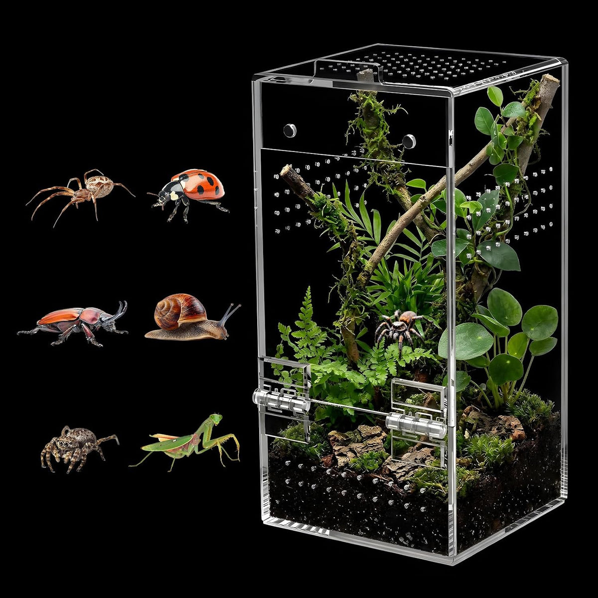 Jumping Spider Enclosure Kit, Vertical Acrylic Terrarium with Magnetic Door