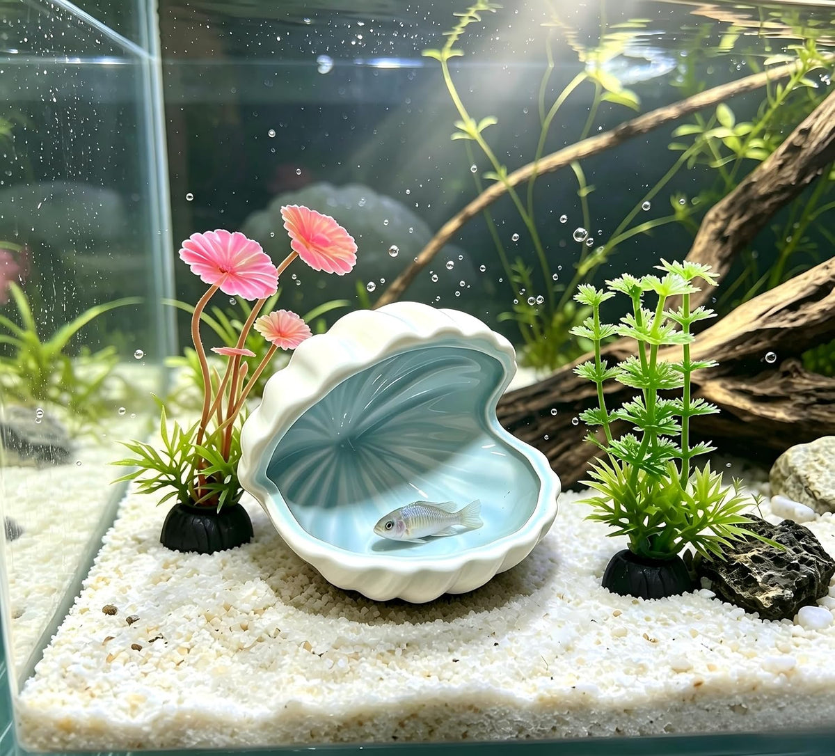 Axolotl Hide Shell Shape Ceramic Axolotl Hiding Spots Caves