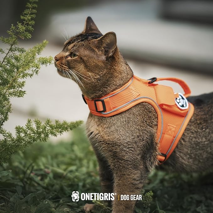 OneTigris Cat Harness and Leash - Image 9