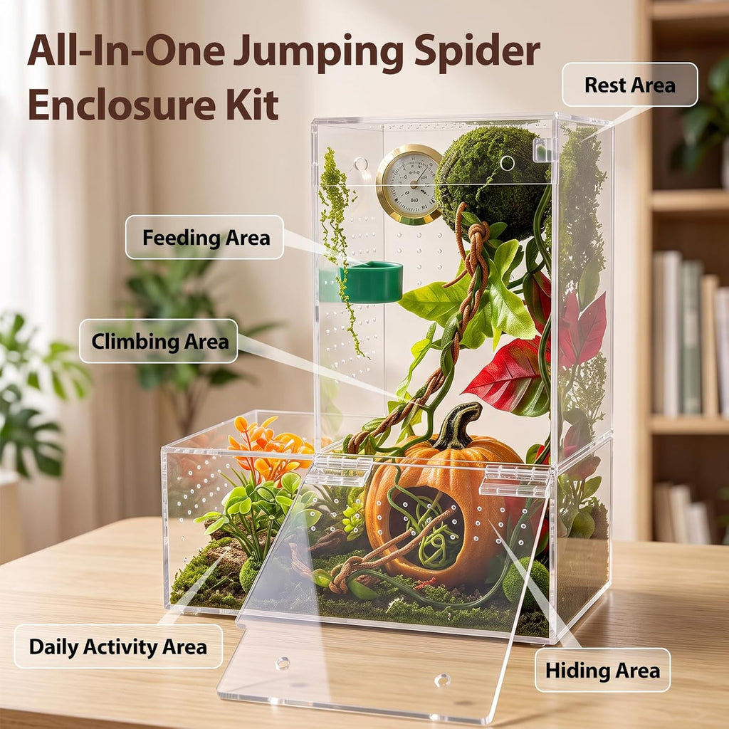 Large Jumping Spider Enclosure Kit for Spiders Manti Snail & Small Reptiles