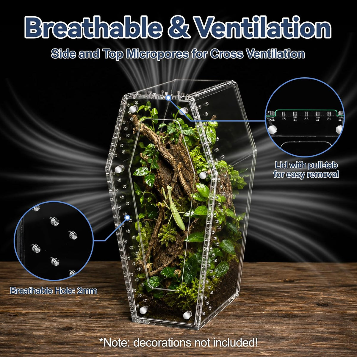 Jumping Spider Enclosure,Acrylic Terrarium for Small Insects & Reptiles