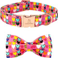 Lionheart glory Valentine's Dog Collar, Dog Collars by LionheartGlory