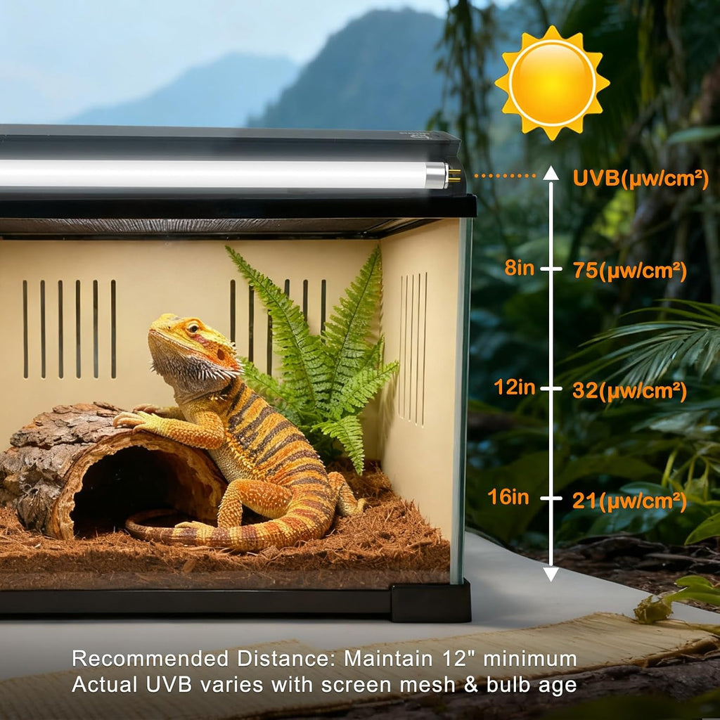 T5 10.0 8W UVB Reptile Light Bulb for Bearded Dragon, 12'' 2 Pack