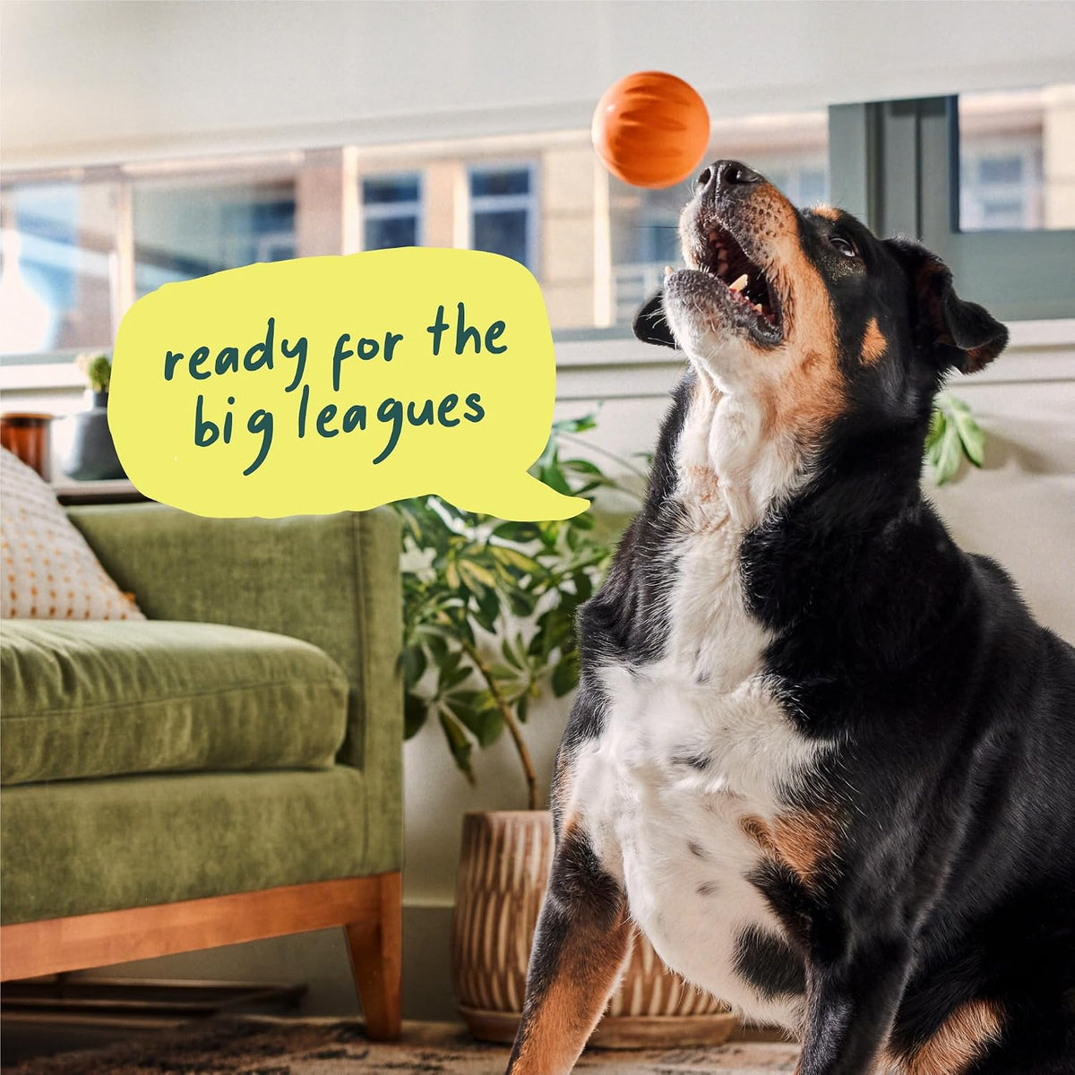 WOOF Flyball Fetch Ball & Dog Treat Dispenser Toy, 3-Pack