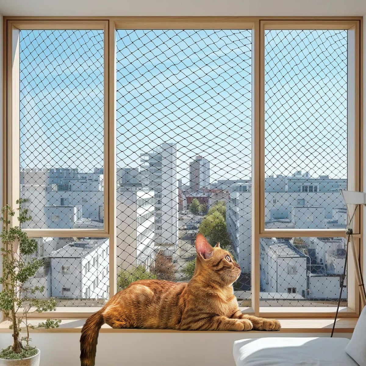 Wire-Reinforced Cat Netting, Bite Resistant, Anti-Fall for Windows Balcony