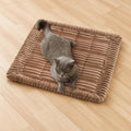 FUNNY FUZZY Pet Couch Covers for Sofa, Washable Dog Couch Cover Protector for by FUNNYFUZZY