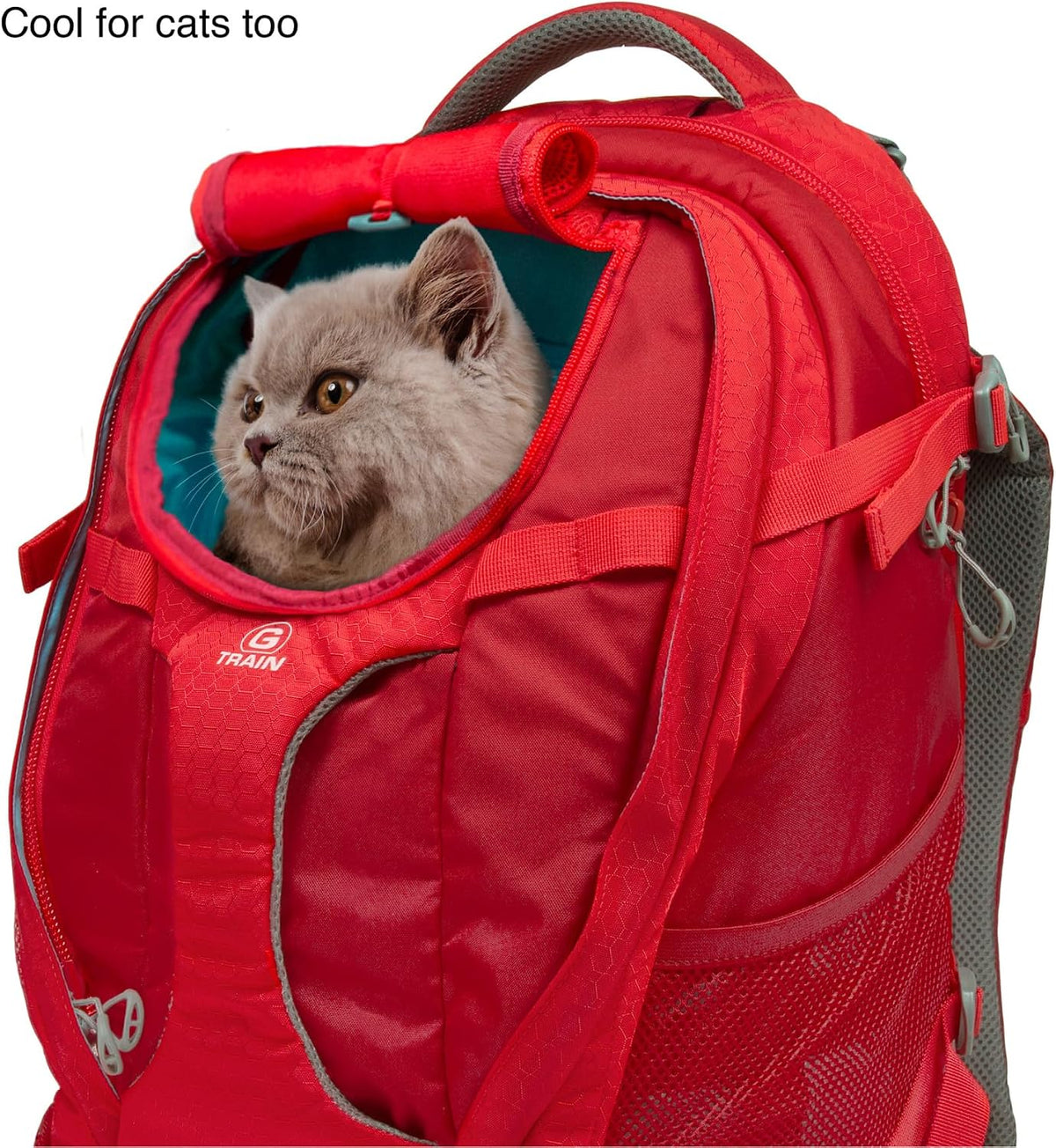 Kurgo G-Train Pet Carrier Backpack, Black