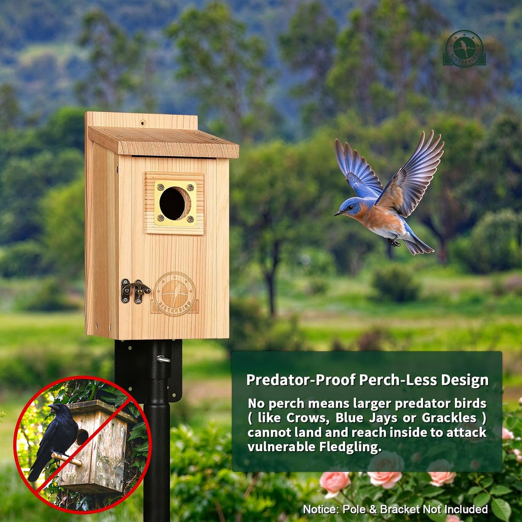 2 Pack Bluebird Houses for Outside, Warming Gifts Bluebird House