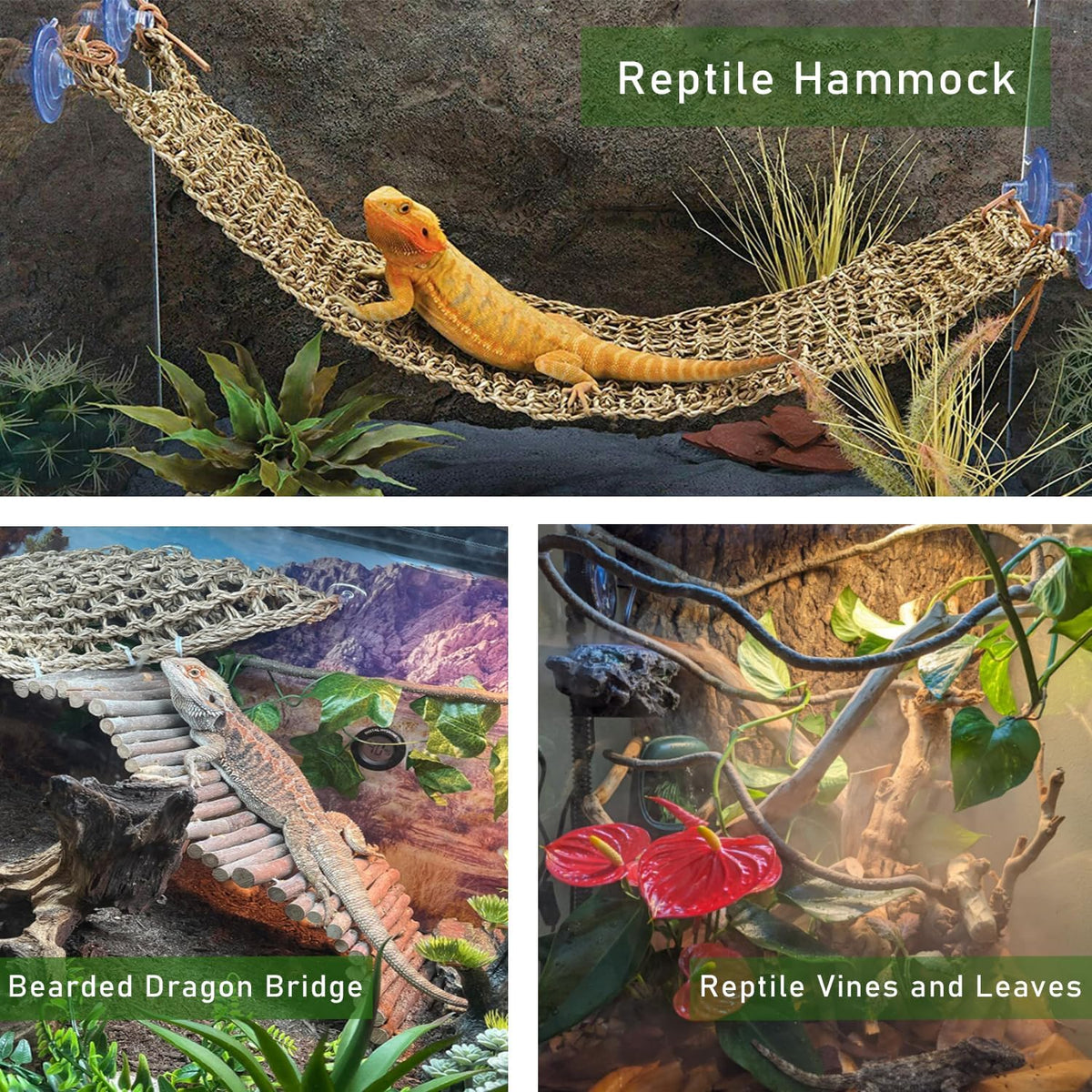 Bearded Dragon Tank Accessories, Reptile Mat Hammock Plants Bridge Jungle Climber Vines for Leopard Gecko Hermit Crab Lizard Snak (Bearded Dragon Tank Accessories (10 Piece with Reptile Mat))