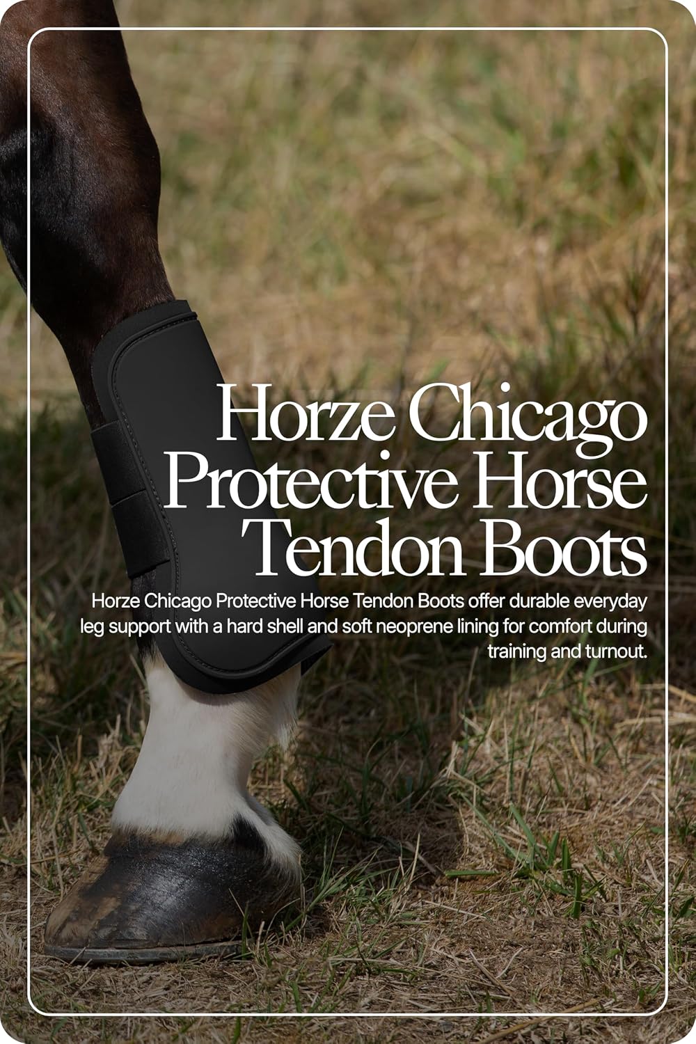 HORZE Chicago Protective Horse Boots, Secure Fit Splint Boots for Horses