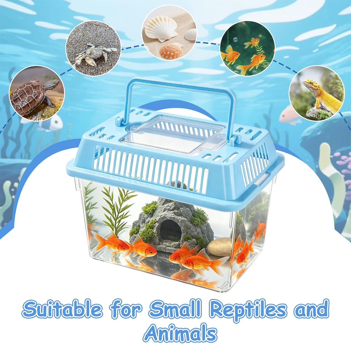 10Pcs Reptile Terrariums Carrier Cage with Lids Handle