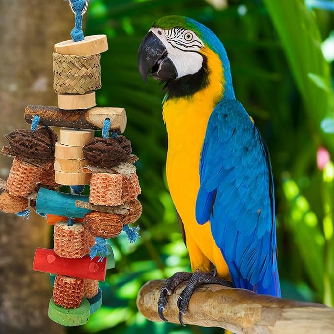 Parrot Chew Toy, Corn Cob and Nut, Non Edible Coloring, Beak Health, Foraging - Image 5