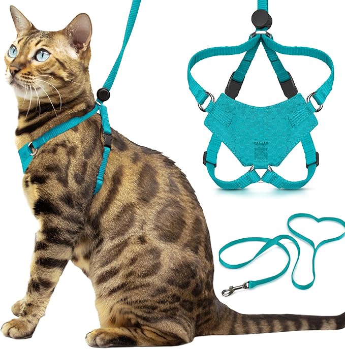 Houdini™ Escape Proof Kitten Harness and Leash Set by OutdoorBengal – Turquoise by OutdoorBengal