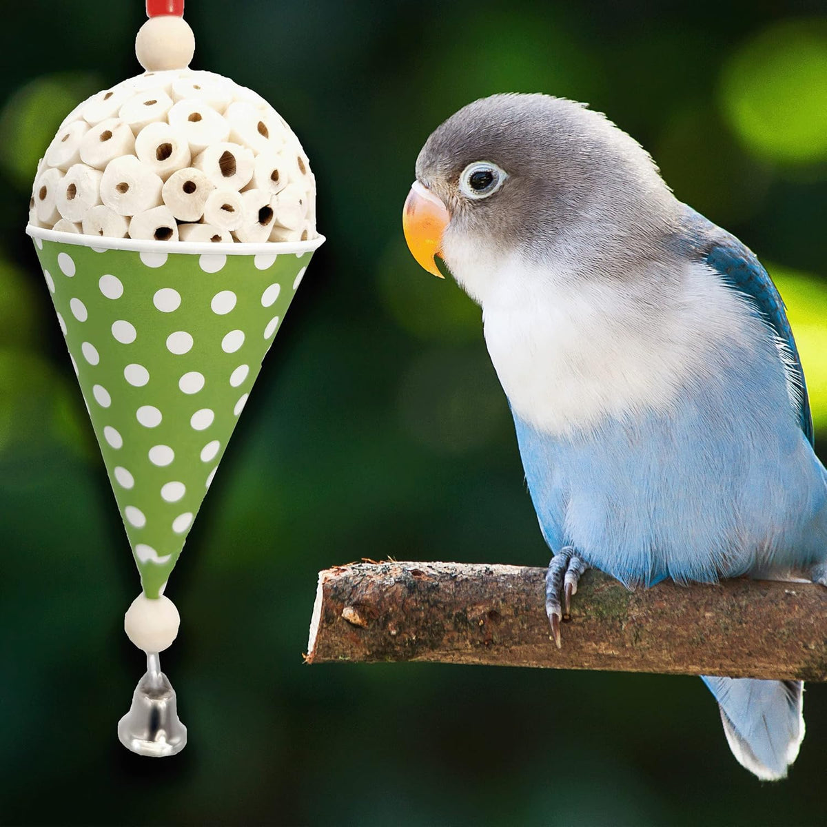 1556 Sola Snowcone - Shreddable Bird Foraging Toy