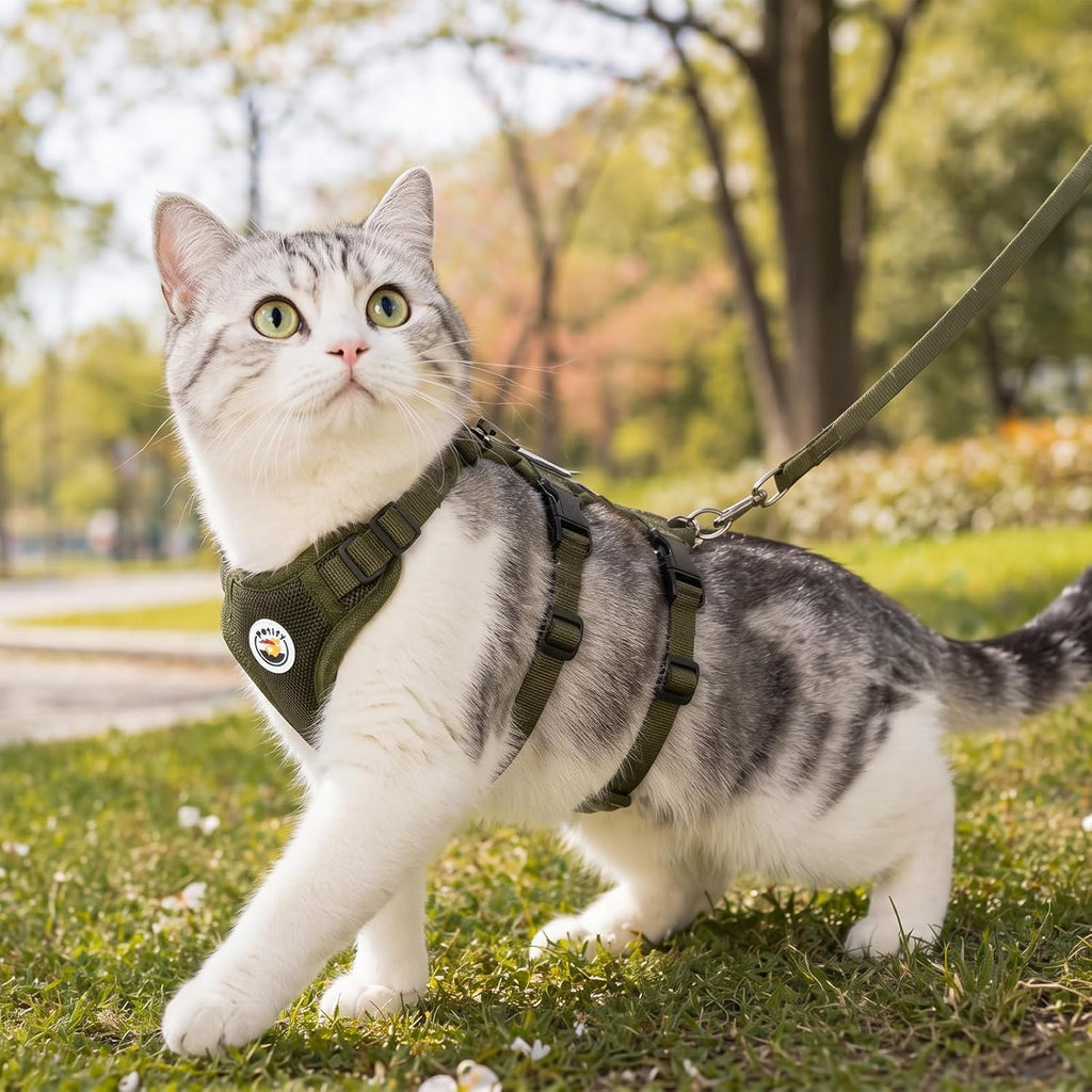 Escape Proof Cat Harness and Leash Set for Walking, 3-Point Adjustable Soft Mesh Kitty Vest Harness with Reflective Strip, Tactical Olive Green Adventure Pet Harness for Small to Medium Cats (S)
