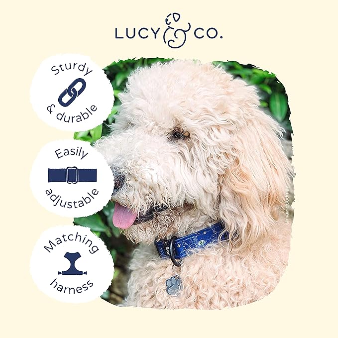 Lucy & Co. Space Doodle Adjustable Dog Collar- Cute Designer Pet Collar - Image 3