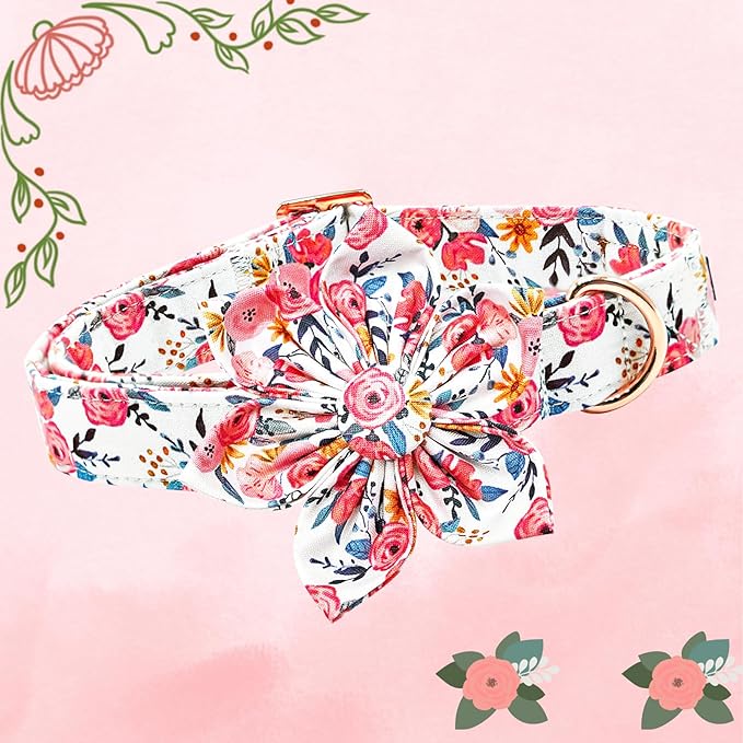 Lionheart Glory Floral Dog Collar - Image 3