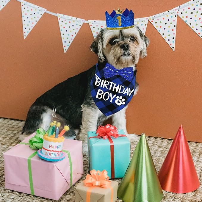 STMK Dog Birthday Party Supplies - Image 7