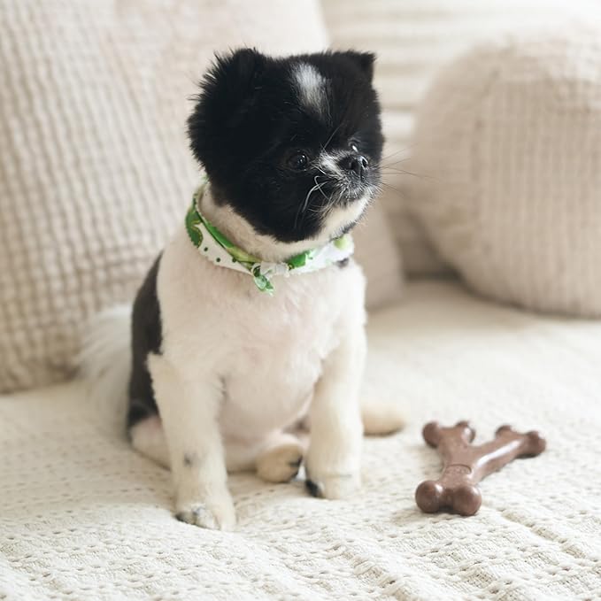 SPOT Bam-Bones Wishbone - Image 11