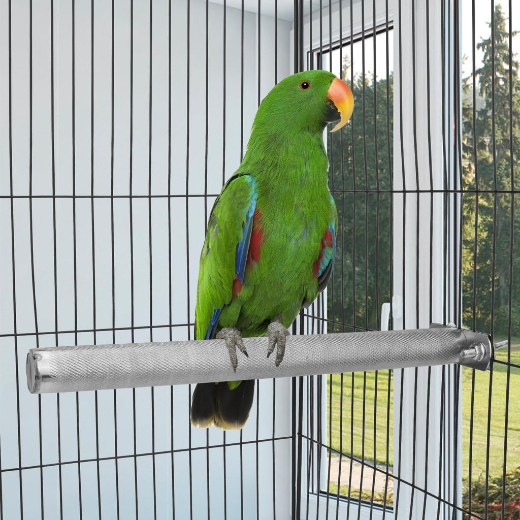 Hypeety Stainless Steel Bird Perch Durable Nail Trimming Stand for Cage, XL