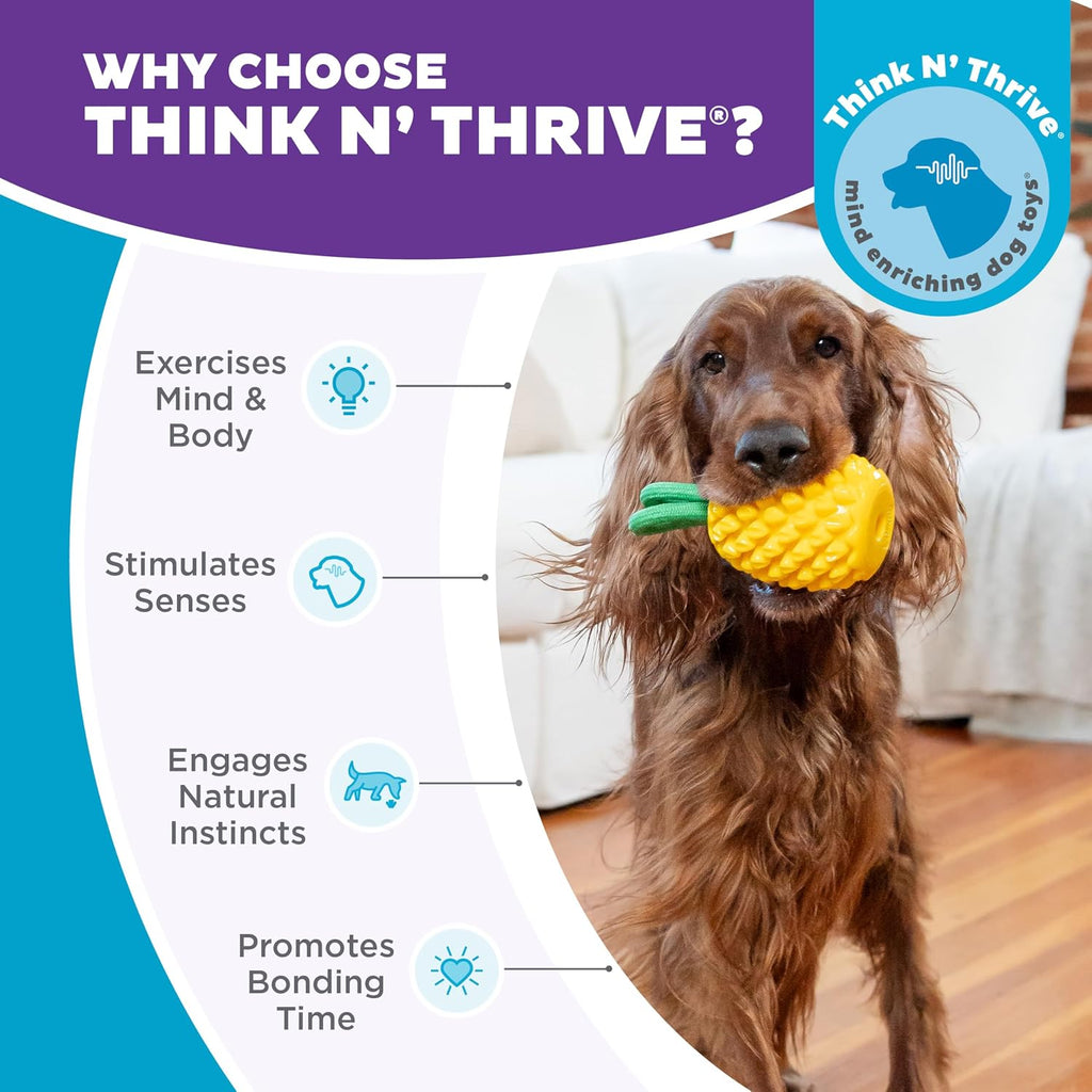 Outward Hound Dental Pineapple Chew & Treat Stuffer Dog Toy for All Breeds
