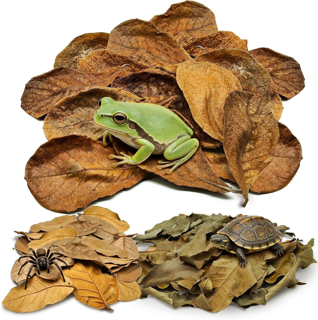 120PCS Dry Oak Leaf Litter Substrate Terrarium Bedding for Reptiles