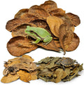 120PCS Dry Oak Leaf Litter Substrate Terrarium Bedding for Reptiles