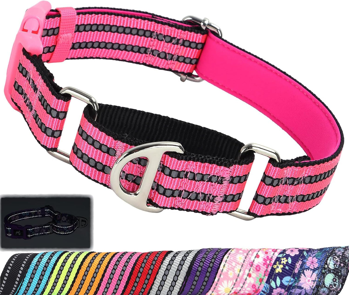 Reflective Skull No Slip Choke Collar with Padded Quick Release Buckle-M
