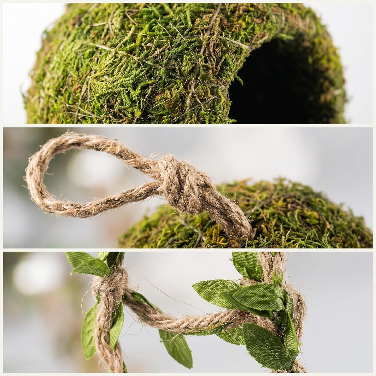 Reptile Hide with Hanging Climbing Ladder – Handmade Crested Gecko Tank Accessories, Hide for Crested Gecko, Hermit Crab, and Small Reptiles