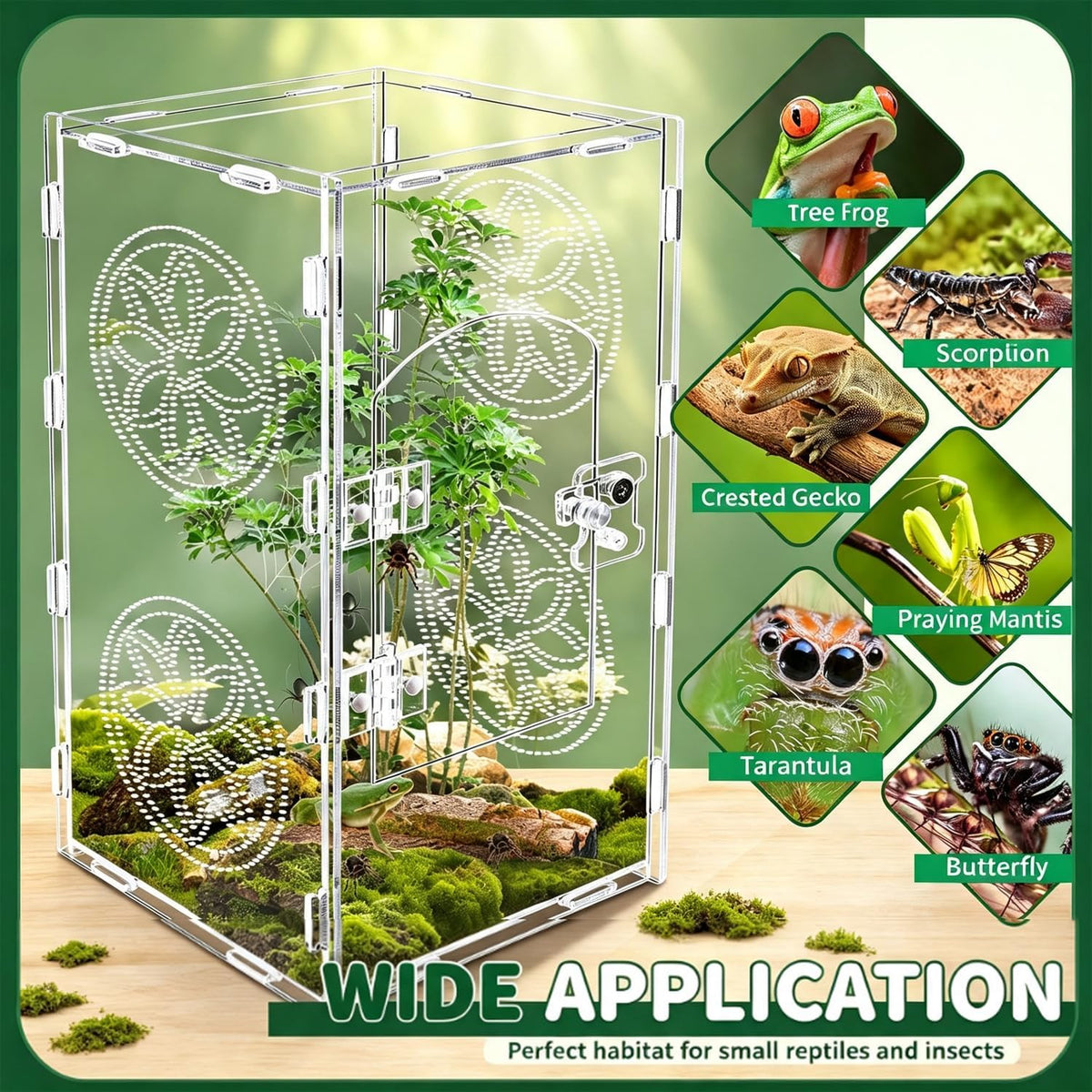 Jumping Spider Enclosure 30x15x15cm Large Acrylic Habitat,Clear